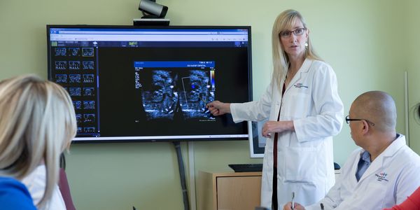 Dr Anita Moon-Grady leading fetal treatment meeting