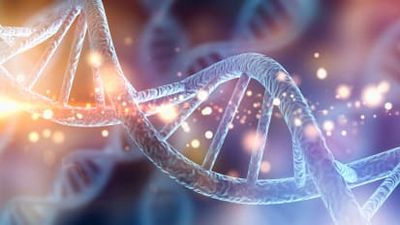 Delving Into DNA: When and How to Use Genetic Testing in Primary Care