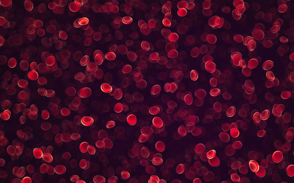 Image of red blood cells