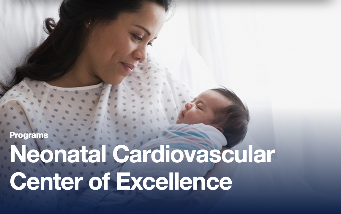 Neonatal Cardiovascular Center of Excellence